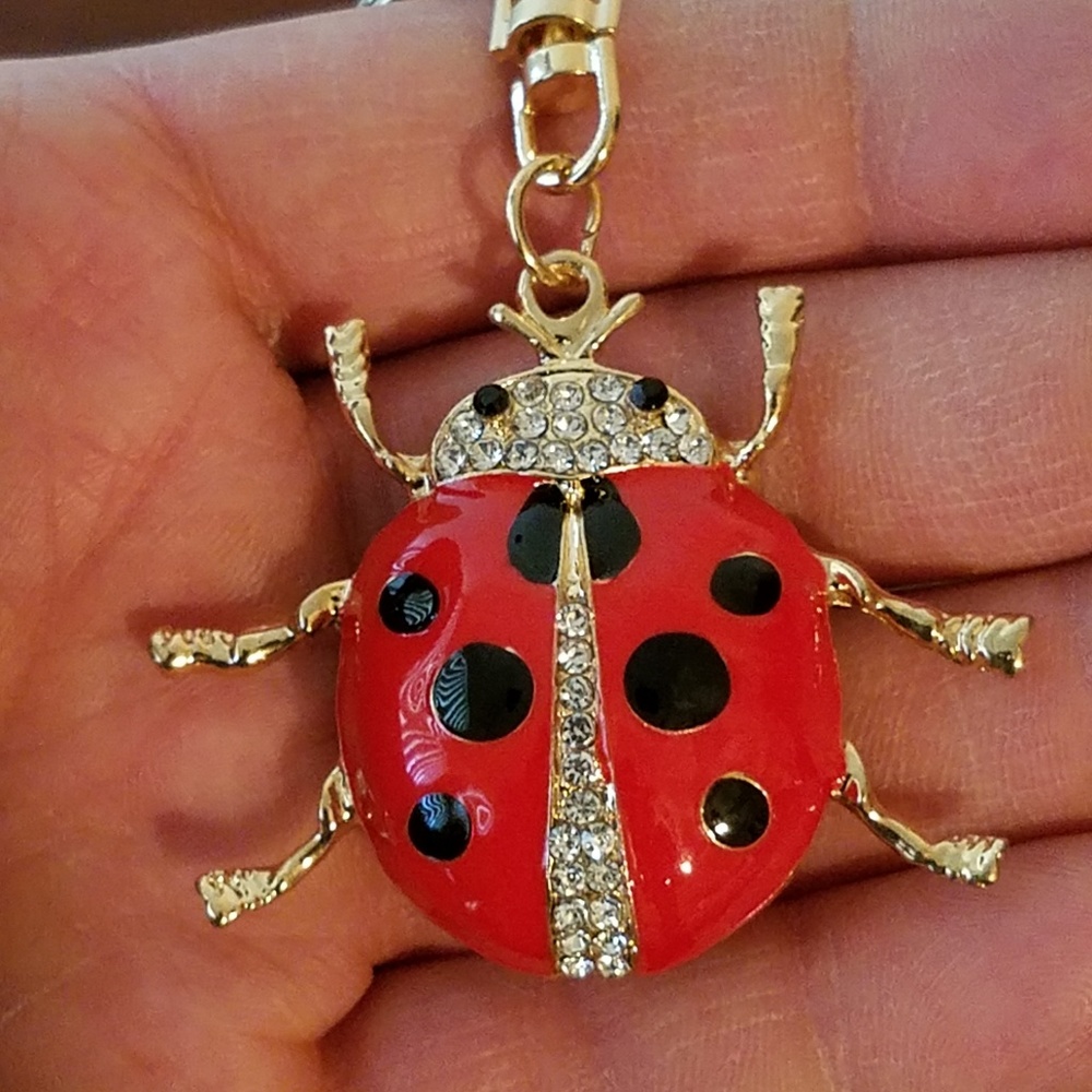 NEW! Ladybug Lucky Handbag Keychain/Charm